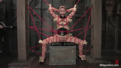 Hottest fetish xxx video with exotic pornstars claire adams and sarah blake from whippedass