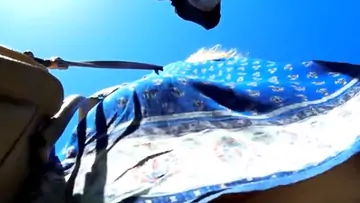 Upskirt king 284
