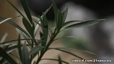 Vera wonder and lutro in garden sex 21naturals