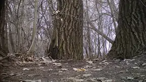 Pissing 152