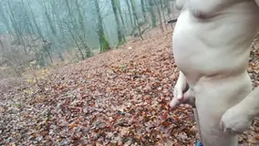 A cold morning in the forest