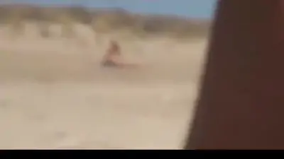 Beach fun