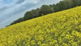 Fabulous homemade outdoor masturbation porn movie