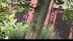 Incredible homemade black and ebony big tits sex movie
