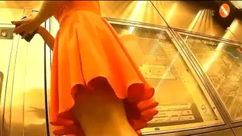 Upskirt king 167