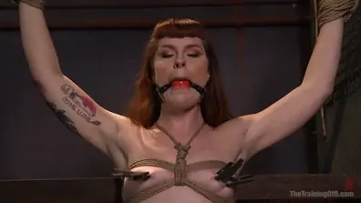 Training barbary rose orgasm denial thetrainingofo
