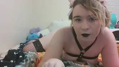 Kitten in harness bra licks big lollipop
