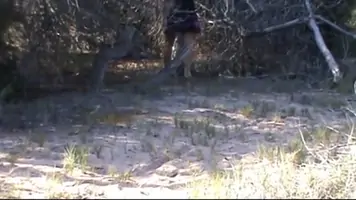 Horny beach masturbation adult scene