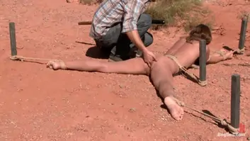 Ambers torment in the desert