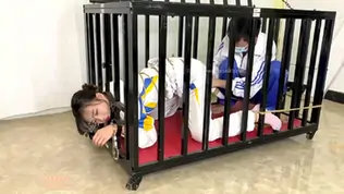 Chinese bondage