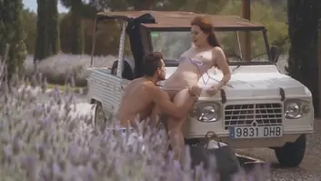 Provence anastasia stone