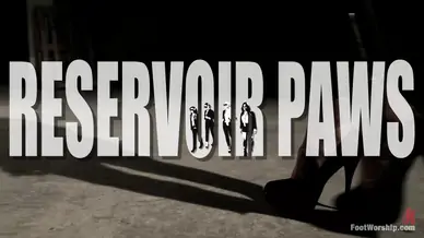 Reservoir paws 8 feet and 40 toes kink