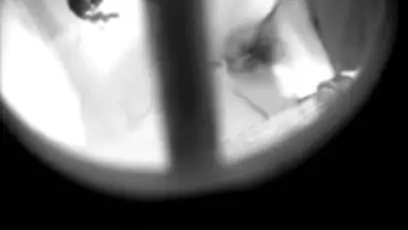 shower 1