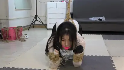 Chinese bondage k9 bondage trainning